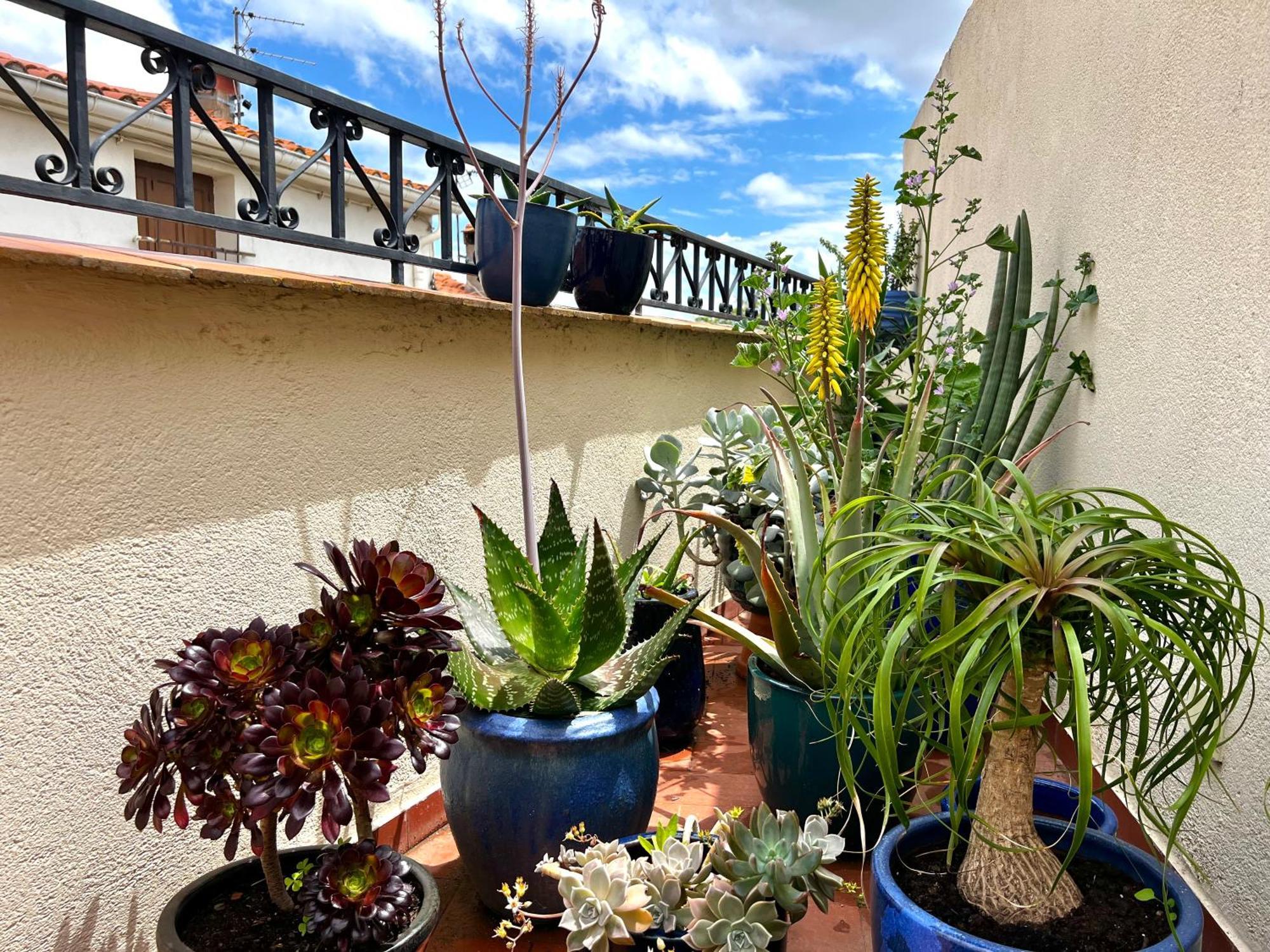 Ferienhaus Maison Familiale *